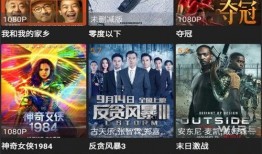 流萤新语音爆料视频,揭秘神秘角色与剧情走向